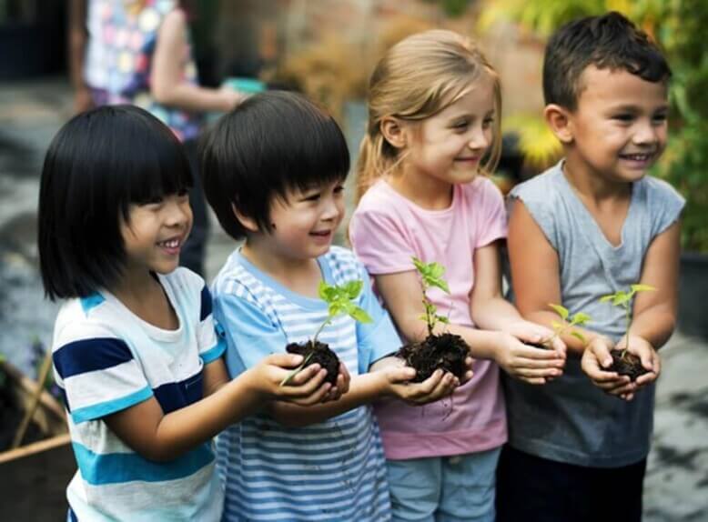 4 crianças segurando mudas de plantas e aprendendo sobre eduação ambiental