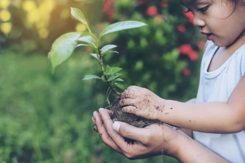 Criança segurando muda de planta enquanto aprende sobre educação ambiental