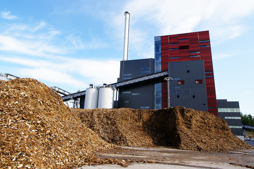 energia sustentável biomassa