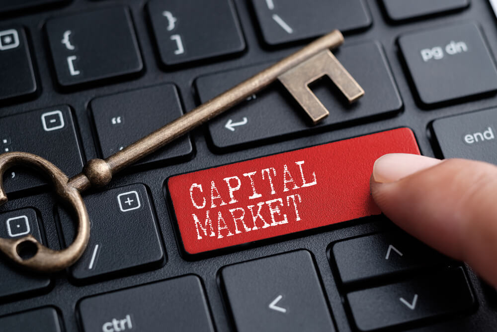 mercado de capitais estrutura