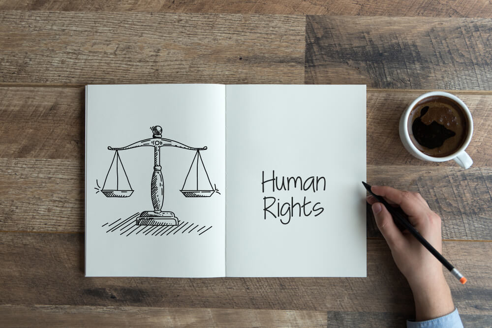 direitos humanos conclusão