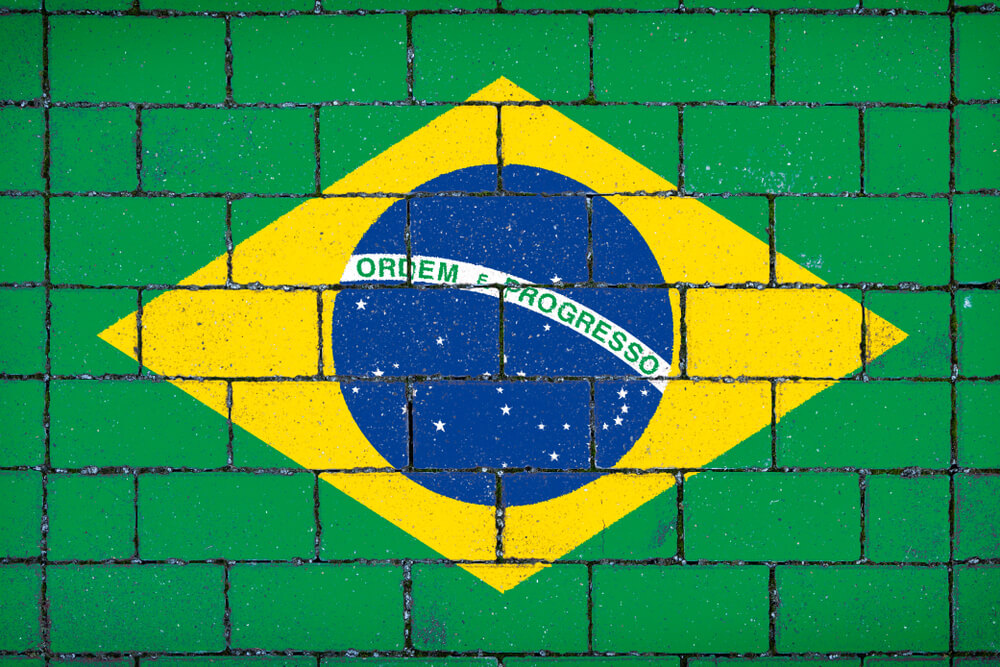 organização sociedade civil exemplos brasil