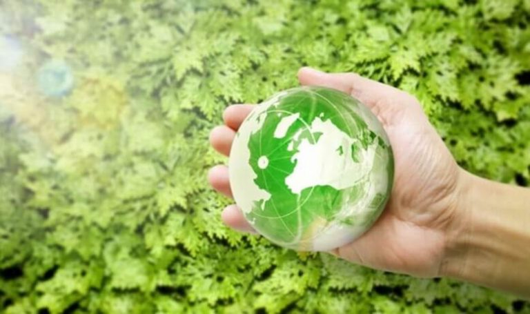 Meio Ambiente: o que é, importância e como preservar? - FIA