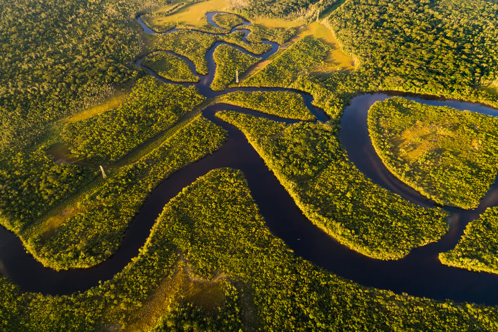desmatamento da amazônia como combater