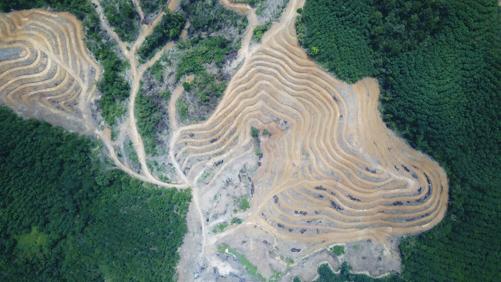 desmatamento da amazônia quais consequências no brasil