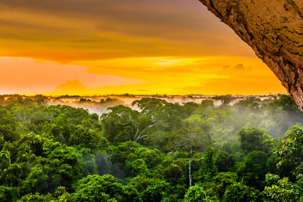 meio ambiente desmatamnto da amazonia