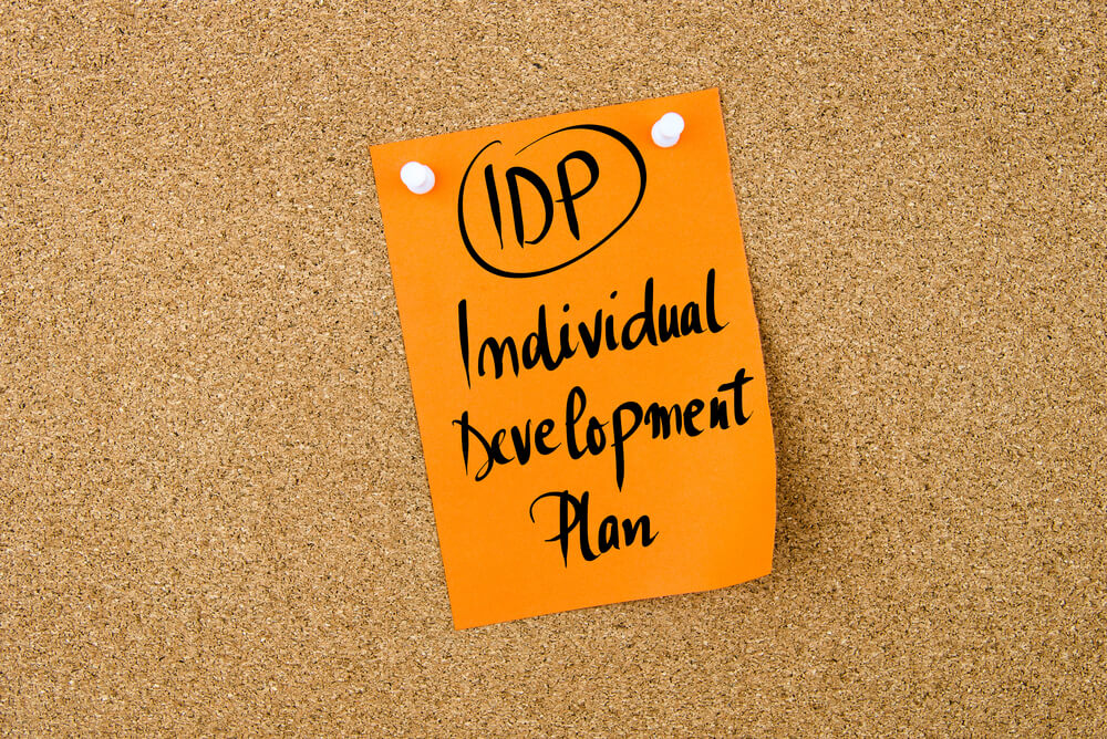 plano de desenvolvimento individual o que é