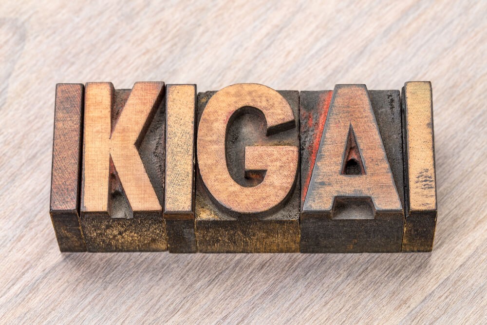 O que é ikigai?