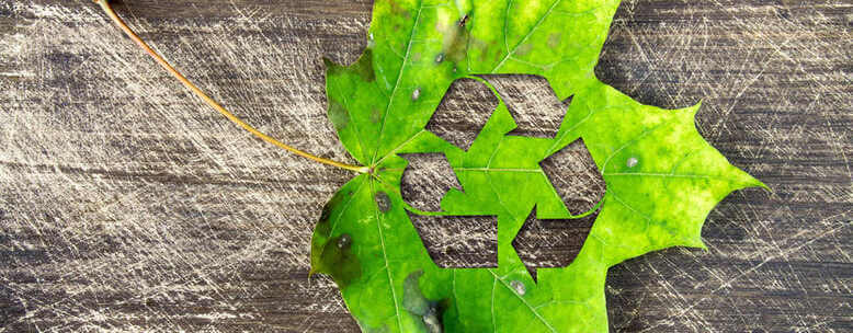 Ilustração de uma planta com o símbolo da reciclagem evidenciando a economia circular