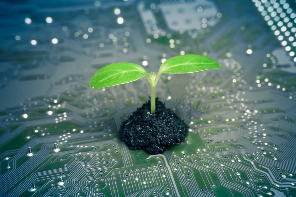 Tecnologia verde: o que é, tipos, vantagens e exemplos