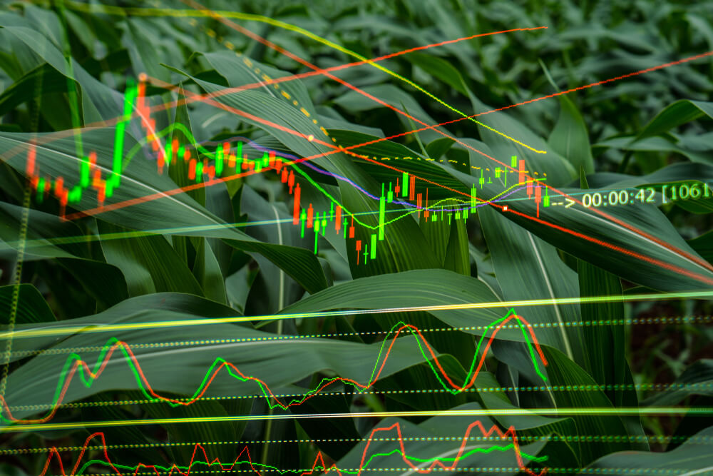 Commodities agrícolas: O que são, mercado e benefícios de investir