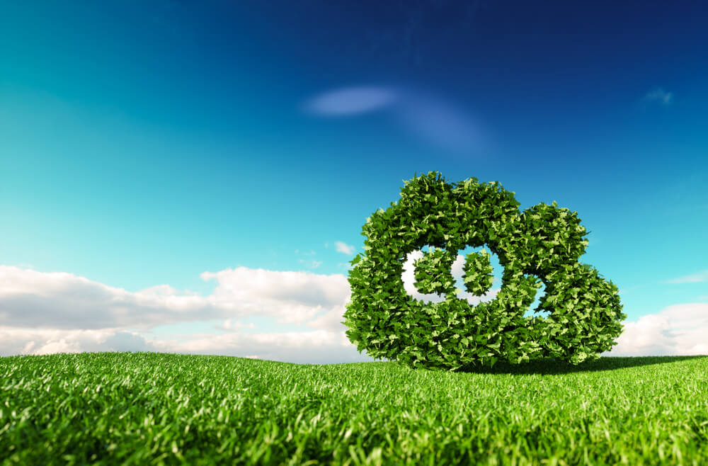 Carbono Zero: Entenda o conceito e saiba como aplicá-lo