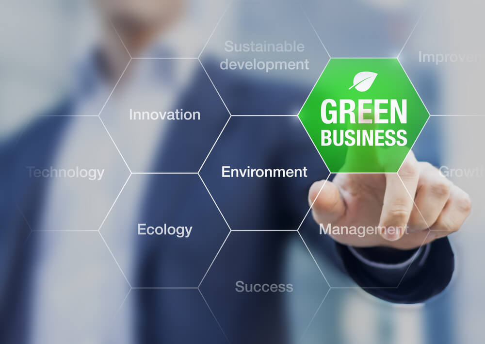Economia Verde: importância, benefícios e profissões requisitadas