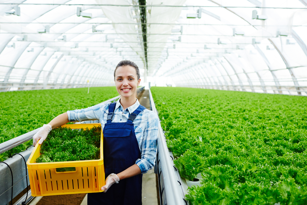 agricultura#agroétudo#irrigação