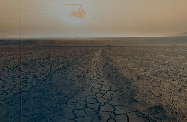 Desertificação, um dos problemas ocorridos por conta do aquecimento global