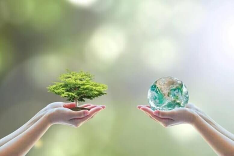 Uma mão segurando muda de planta do meio ambiente e outra mão posicionada na frente segurando o globo terrestre
