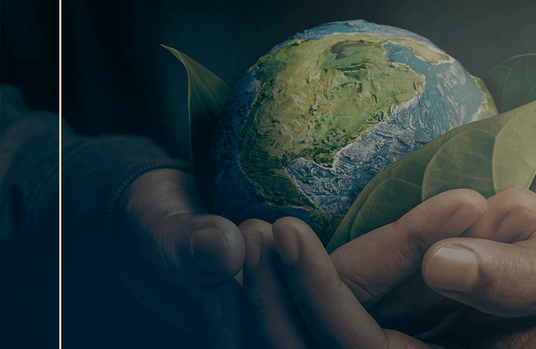Mão segurando o globo terrestre representando o tema da COP27
