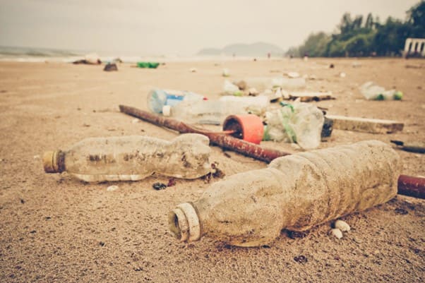 Garrafas plásticas e outros objetos descartados em praia ocasionando uma série de impactos ambientais