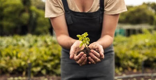 Pessoa de avental segurando uma muda de planta com terra nas mãos, em meio a área verde, simbolizando práticas sustentáveis