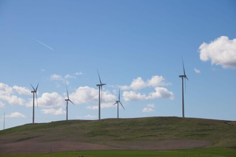 Parques eólicos: quais são os benefícios da adesão da energia verde no  Brasil - Lactec