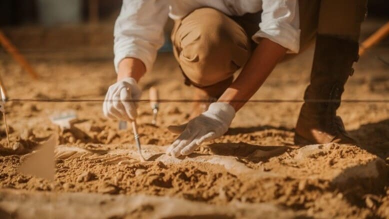 Enquanto escava o solo, um arqueólogo, munido de suas ferramentas, descobre um artefato histórico potencialmente vinculado à Rota da Seda
