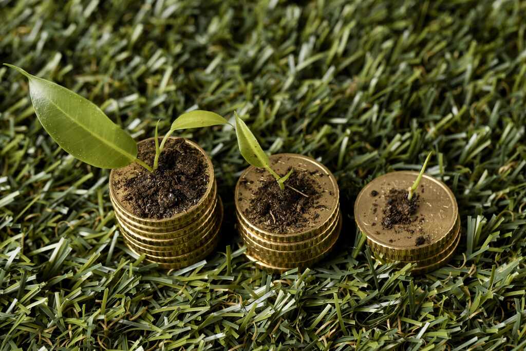 Pilhas de moedas com mudas representam desenvolvimento sustentável, economia verde e expansão de novos mercados.