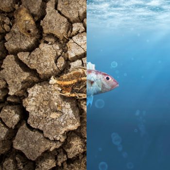 crise-climatica-2040-ambiental-relatorios-impactos-ac-oes
